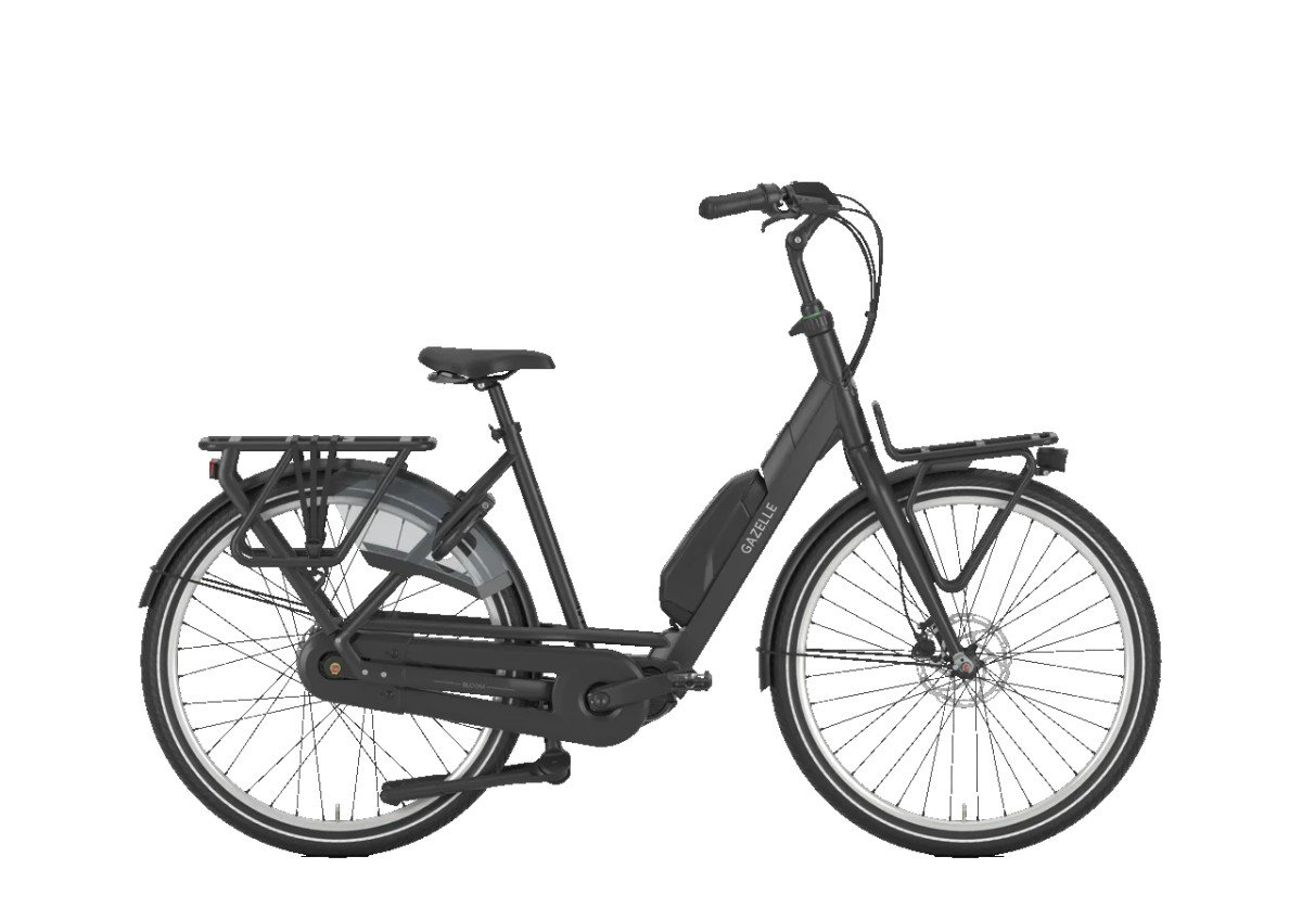 Bloom C310