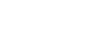 Urban Arrow fietsen